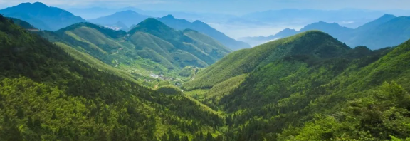 智慧林業案例 | 甘肅：護林有妙招，看太子山如何用科技守護森林