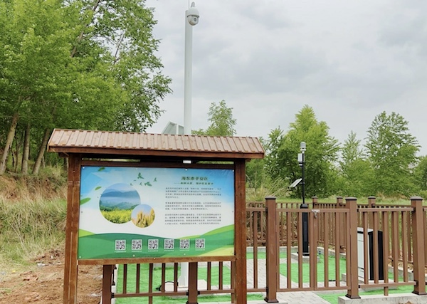 制種大縣|走進國家級油菜夏繁基地，感受科技賦能蓬勃動力