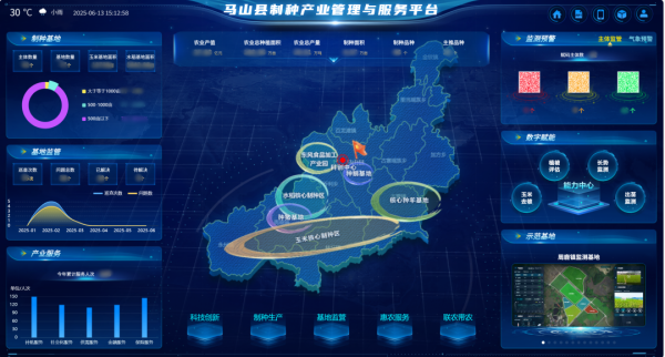 AI+農(nóng)業(yè) | 當(dāng)種子植入“數(shù)智芯片”，馬山縣打造制種基地新標(biāo)桿